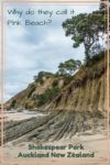 Pink Beach in Shakespear Regional Park, Auckland New Zealand