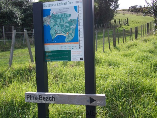 Sign to Pink Beach in Shakespear Park Auckland New Zealand