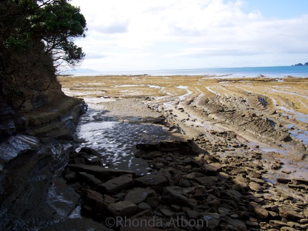 The bottom of the steps at Pink Beach at low tide Shakespear Park Auckland New Zealand
