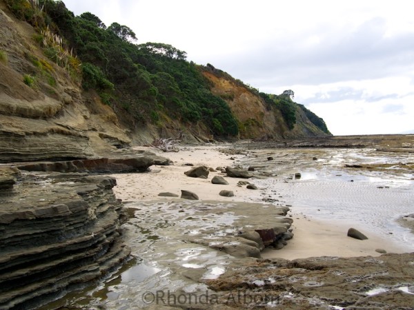 Pink Beach in Shakespear Park Auckland New Zealand