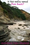 Are you wondering why this Auckland New Zealand beach is named Pink Beach