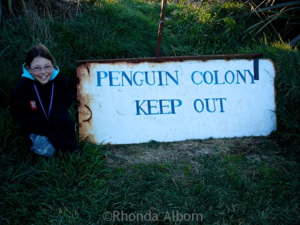 Discover the Catlins: A New Zealand Rainforest Along the Southern Coast 15 Penguin colony keep out sign