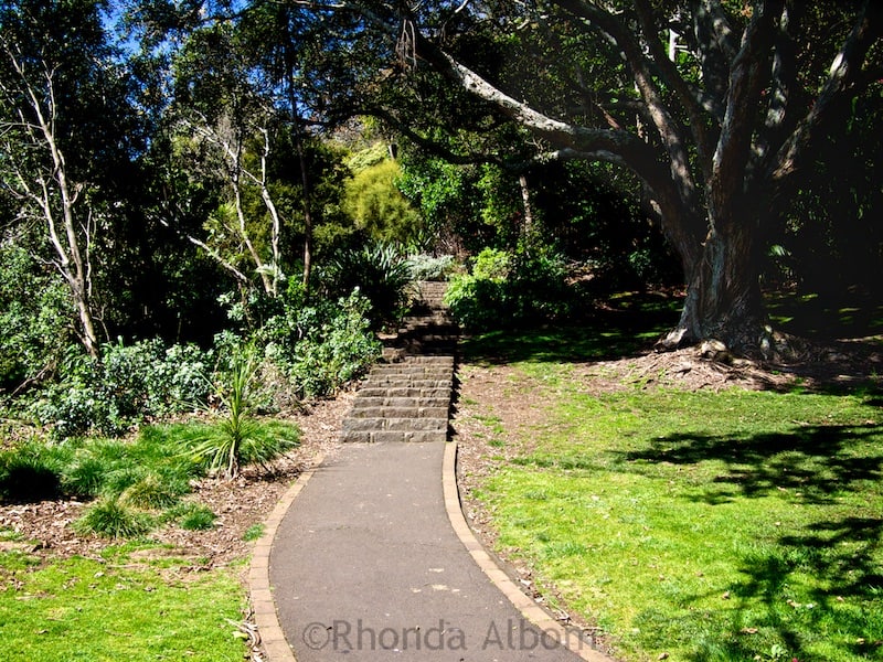Path up extinct Mount Eden Volcano, Auckland New Zealand