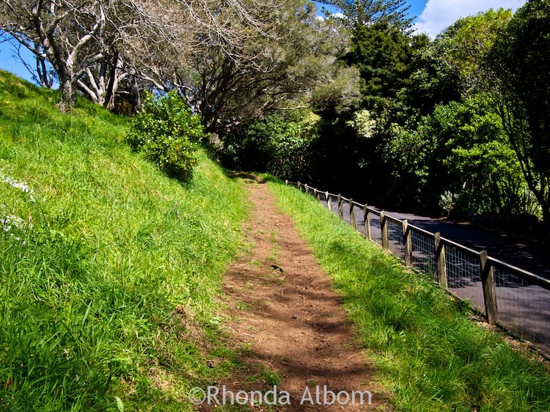 Mount Eden Volcano: Auckland's best hike for city and crater views 4 The dirt path on the extinct Mount Eden Volcano gets somewhat steeper than the road. Auckland New Zealand