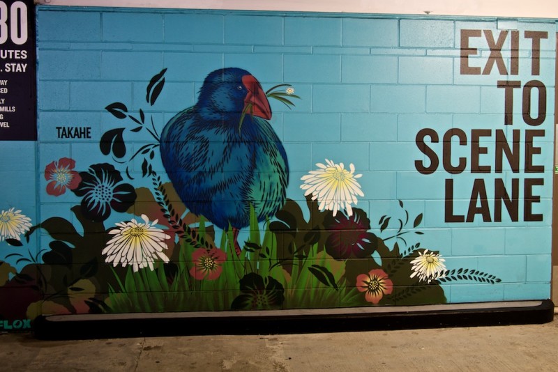 Auckland Street Art Representing New Zealand Culture, Nature, and Fun 10 Critically endangered takahe bird painted on a wall of Britomart car park in Auckland, New Zealand.