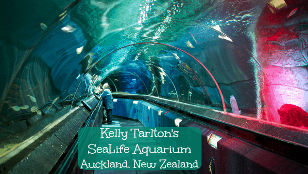 Kelly Tarltons SeaLife Aquarium