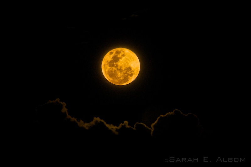 'Supermoon' by ©2015 Sarah E. Albom. Taken in Auckland, New Zealand of the September 2015 supermoon.