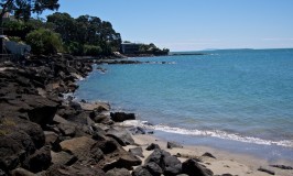 Stunning Coastal Walk Over Volcanic Rock: Takapuna to Milford