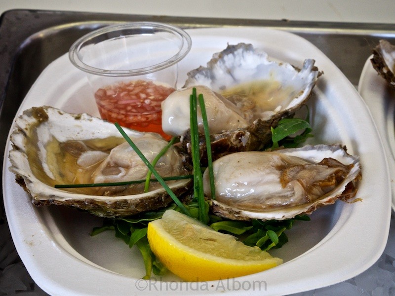 Oysters at the Auckland Seafood Festival