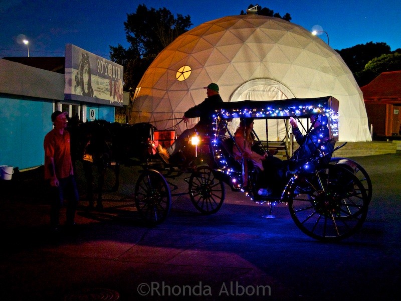 Horse carriage rides at MOTAT's Christmas lights display in Auckland New Zealand