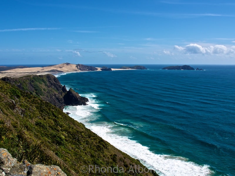 Auckland To Cape Reinga New Zealand Road Trip Tips Albom Adventures Auckland To Cape Reinga New Zealand Road Trip Tips
