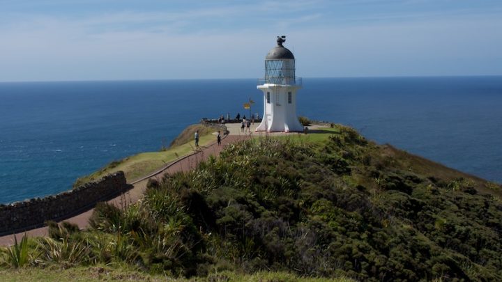 Cape Reinga C133995