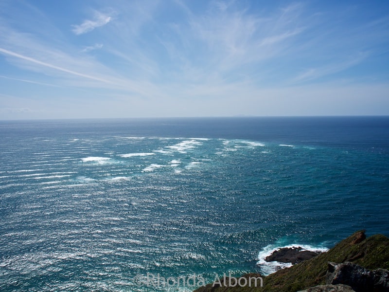 Cape Reinga Oceans Meet At The Spiritual Top Of New Zealand