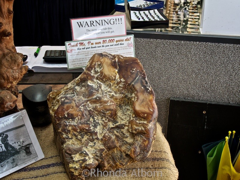Gumdiggers Park: See Ancient Kauri in New Zealand 11 A large piece of New Zealand amber in Northland