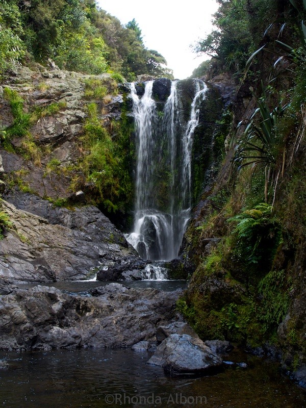 4 Must-See NZ Waterfalls Between Auckland and Bay of Islands 7 Piora Falls north of the Brynderwyns on the North Island
