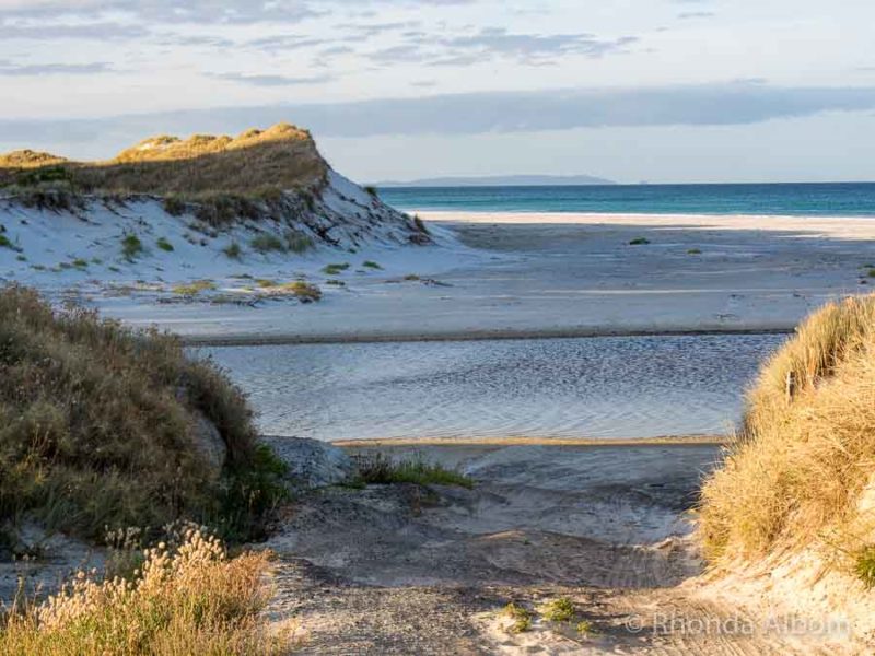 Rarawa Beach - Weird Squeaky White Silica Sand 6 Initial view of the white silica sand nz of Rarawa Beach on Aupouri Peninsuala