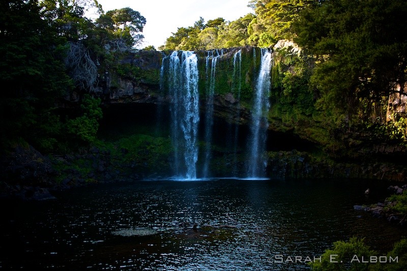 Rainbow Falls, Kerikeri, Northlands, New Zealand photo by Sarah Albom