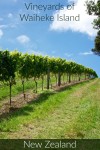 Vineyards on Waiheke Island outside of Auckland New Zealand