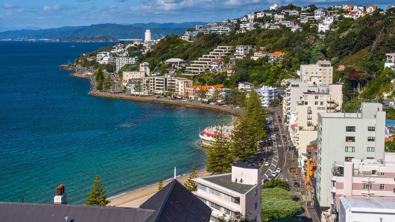 View from hiking Mt. Victoria in Wellington New Zealand