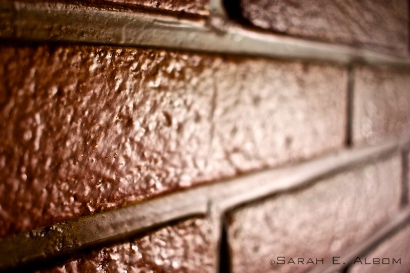Macro image taken in Santa Fe, Argentina. Copyright Sarah E. Albom 2016
