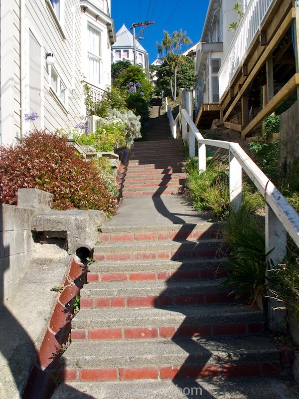 Steep street in New Zealand