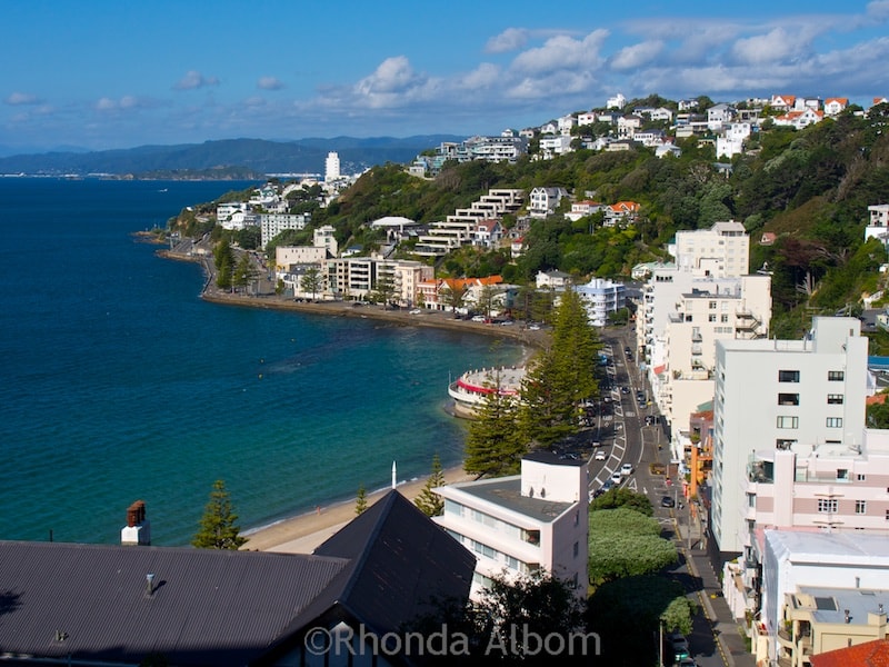 View while hiking Mount Victoria in Wellington New Zealand