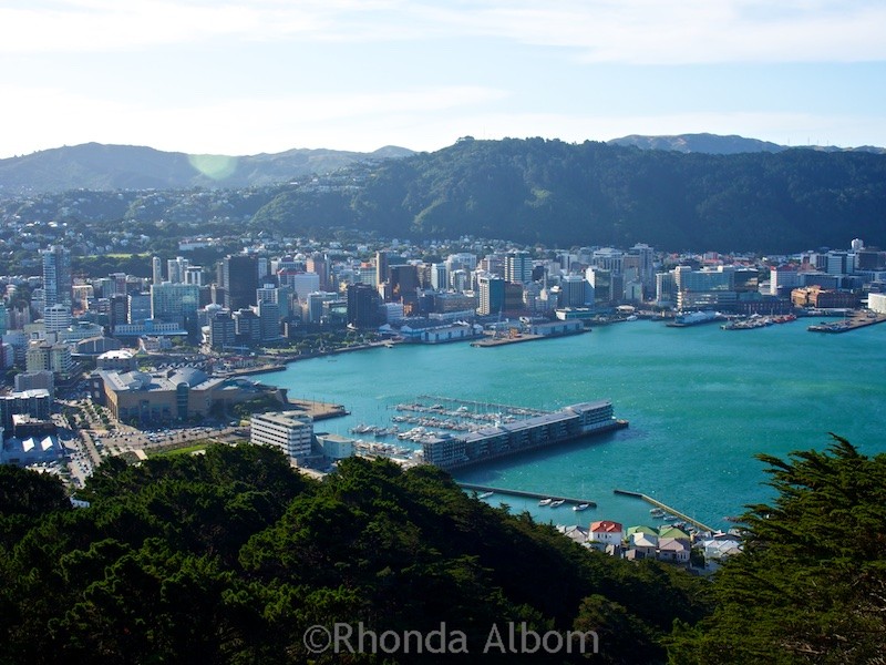 Mount Victoria Lookout: Wellington New Zealand's Best Views 4 View from the Mount Victoria Lookout, Wellington New Zealand
