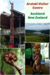 Arataki Visitor Centre, the gateway to the Waitakere Ranges, a subtropical rainforest just 30 minutes outside of Auckland New Zealand