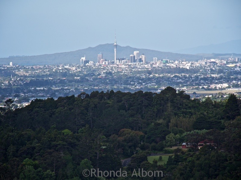 Arataki Visitor Centre: an Auckland Rainforest Exploration 11 The view of nearby Auckland city from a viewing platform near Arataki Visitor Centre in the Waitakere Ranges, New Zealand