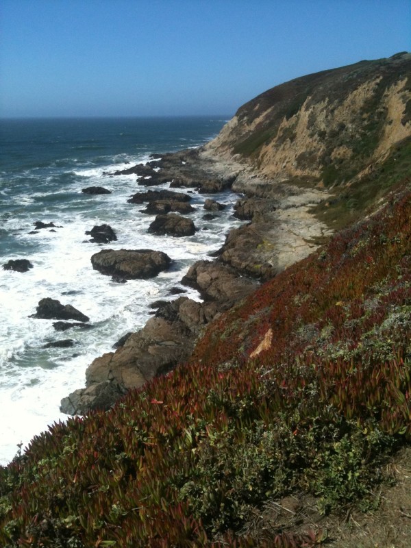 California Coast North of San Francisco at the Sonoma County State Beach. <br>Photo Credit: Megan MacNee of Traveling Nine to Fiver
