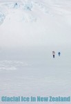 Fox Glacier is on the South Island of New Zealand. It is fed by four alpine glaciers, overflows into the Fox River and travels into lush rainforest. It ends only 300 meters from the sea. This is one of several images from a helicopter tour in which we landed and walked on Fox Glacier.