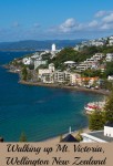Walking to the lookout on Mt. Victoria in Wellington