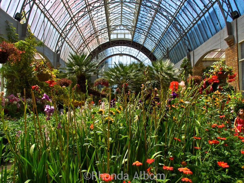 75 Free and Nearly Free Things to Do in Auckland New Zealand 13 Inside one of the two Victorian style glass-top greenhouses that make up Wintergardens, one of the free things to do in Auckland New Zealand.