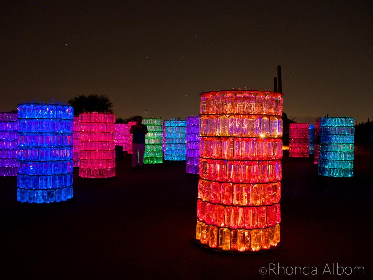 Sonoran Lights At Desert Botanical Garden Phoenix Arizona