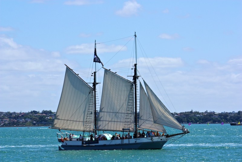 Visiting New Zealand Maritime Museum: a Journey of our Nautical History 13 Representing part of New Zealand's nautical history, this replica scow takes passengers out daily