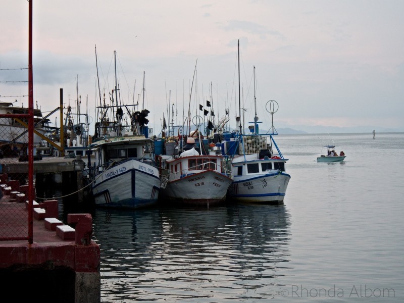 Puntarenas Costa Rica Cruise Port: Thrilling Wildlife, Coffee, and Jungle Delights! 20 The main commercial fishing area in Puntarenas Costa Rica