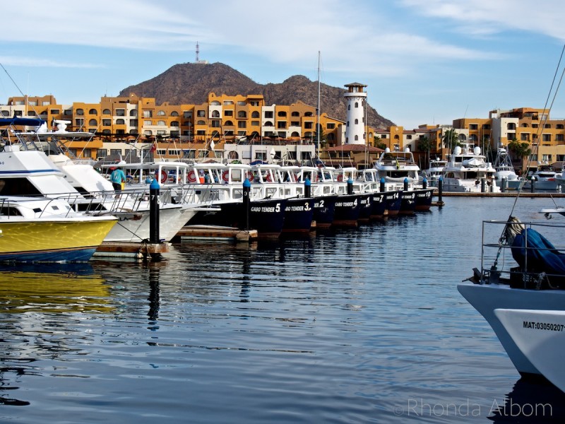 Unique Things to Do in Cabo San Lucas Mexico - Cruise Port Ideas 15 The Cabo San Lucas marina in Mexico