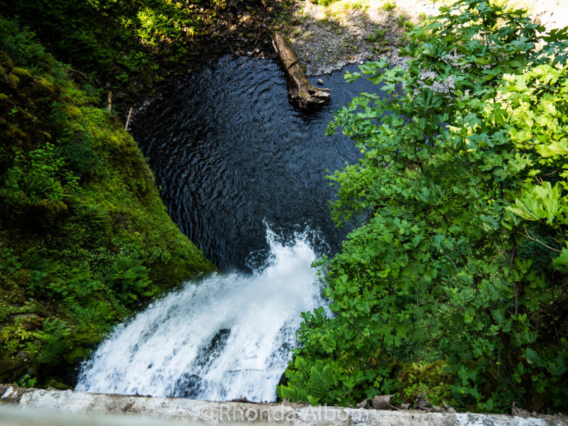 Multnomah Falls: Optional Ways to Take this day trip from Portland Oregon 4 Looking down on the lower half of the waterfall from the bridge