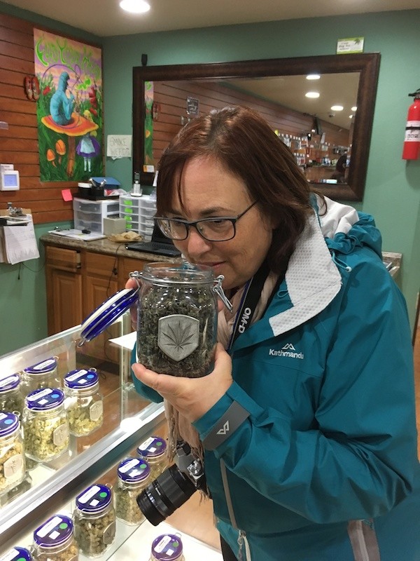 Smelling a strain of marijuana at Sweet Relief in Astoria Oregon