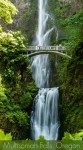 Multnomah Falls and Benson Foot bridge in Oregon
