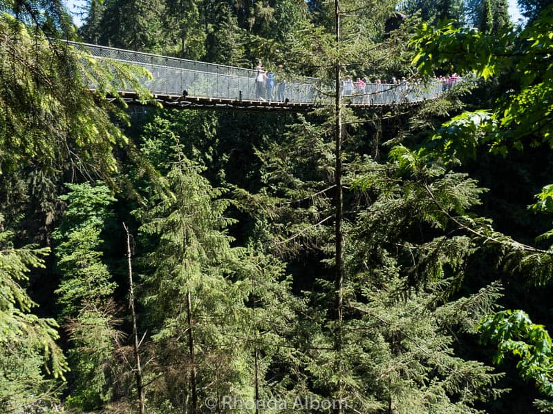 Capilano Suspension Bridge Challenges my Fear of Heights