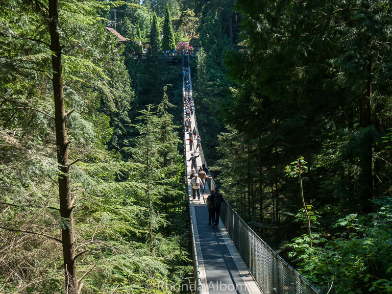 Capilano Suspension Bridge Challenges my Fear of Heights