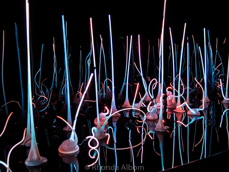 Glass Forest at Chihuly Garden and Glass in Seattle Washington