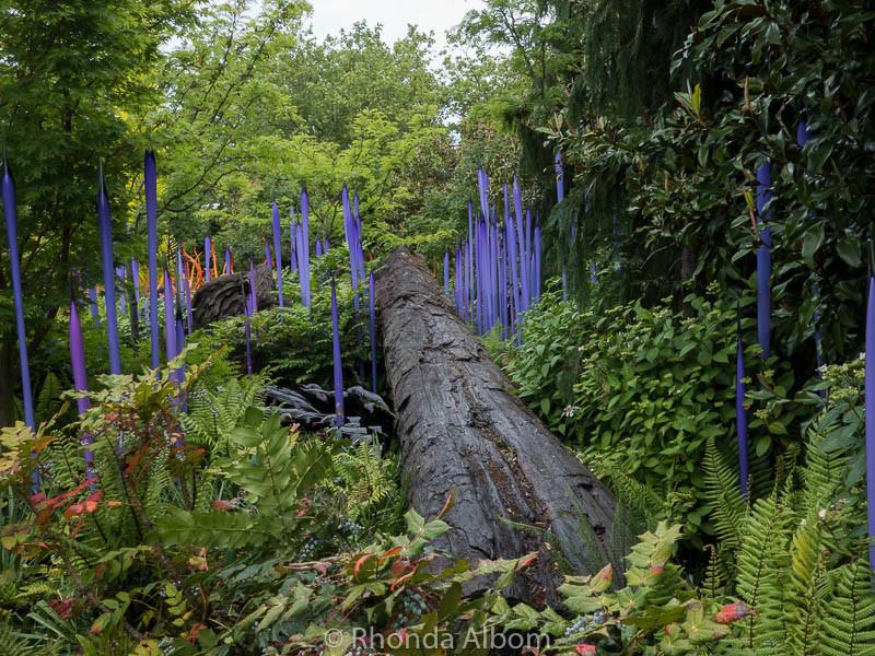Outdoor Garden at Chihuly Garden and Glass in Seattle Washington