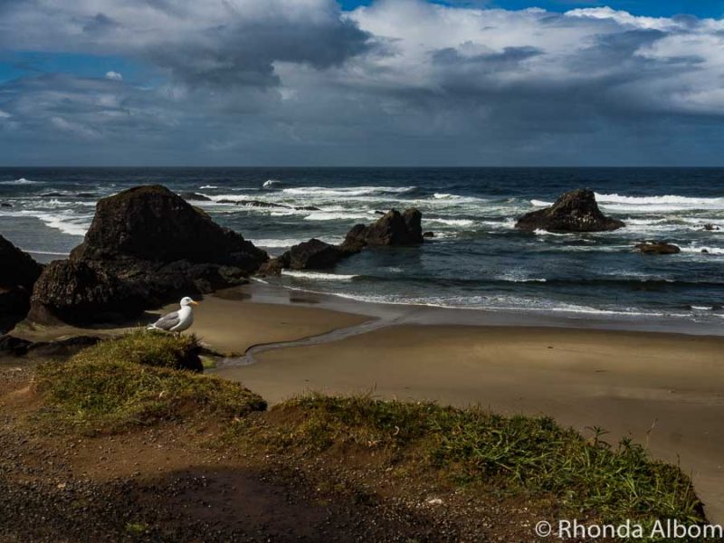 Beach between Yaquina and Newport along the Oregon coast highway.