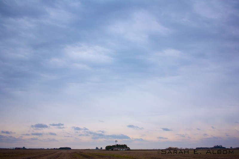 Countryside in Rosario, Argentina. Photo copyright ©Sarah Albom 2016