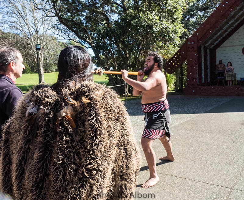 Pōwhari, a traditional Maori welcoming ceremony at the Waitangi Treaty Grounds in New Zealand.