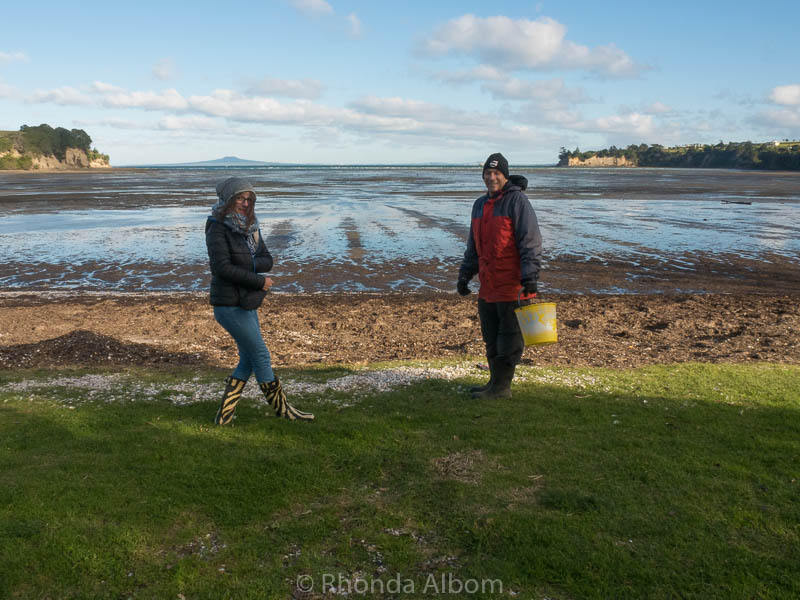 Ready to collect cockles (small clams) on Okoromai Bay in Auckland New Zealand