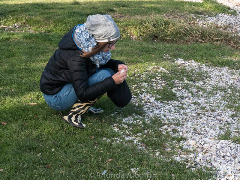Collecting shells on Okoromai Bay in Auckland New Zealand