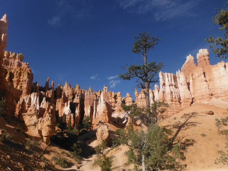 Bryce Canyon by Danielle Ditzian